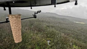 Hawaii Deploys Drone Mosquitoes in Last-Ditch Effort to Save Endangered Native Birds