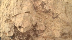 Perseverance Rover Spots Turtle-Shaped Rock, Highlighting Mars' Sculpted Terrain