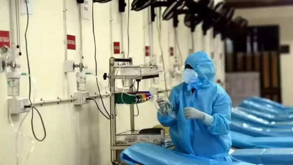 Bat-origin viruses that changed the world