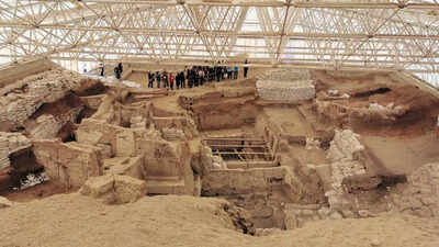 Catalhoyuk: 9,000-year-old city ruled by women, DNA reveals story of matriarchal civilization