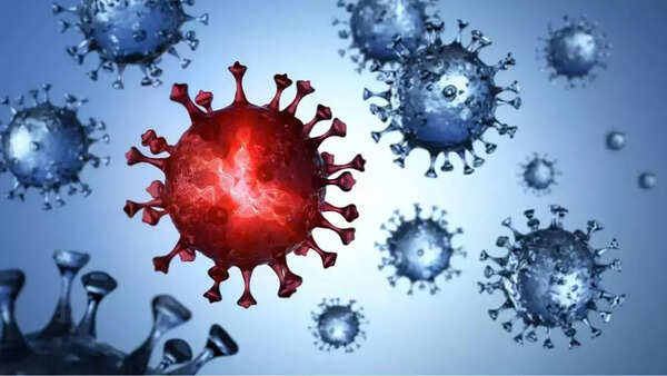 Virus