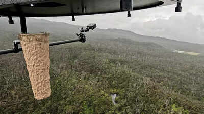Drone dropping mosquito containers in Hawaii.