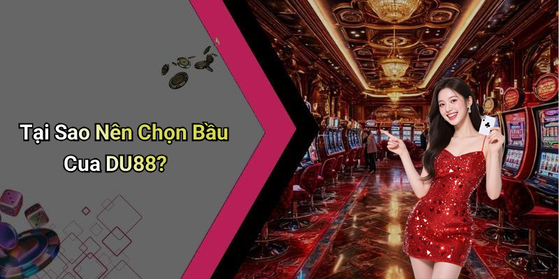 Tại Sao Nên Chọn Bầu Cua DU88?