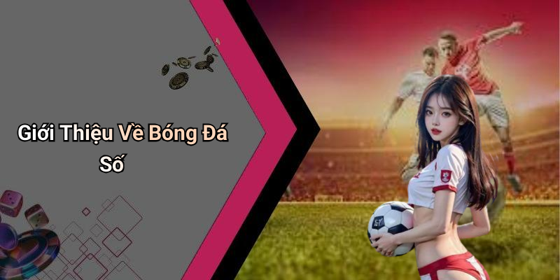 Giới Thiệu Về Bóng Đá Số