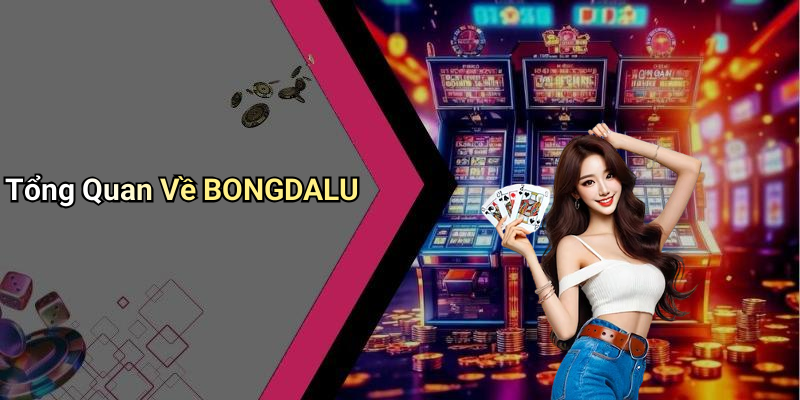 Tổng Quan Về BONGDALU