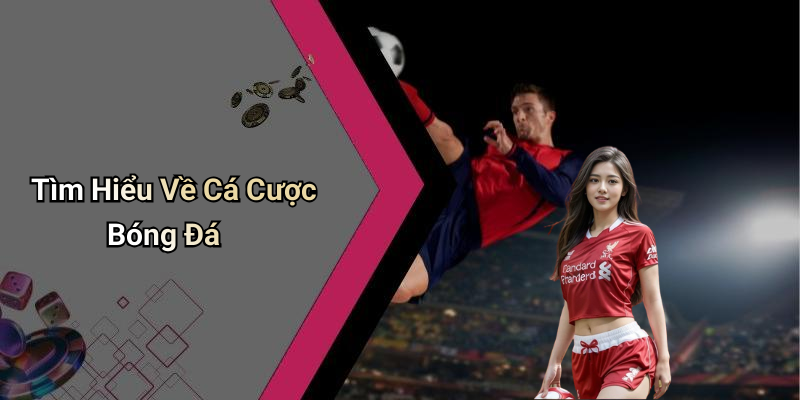 Tìm Hiểu Về Cá Cược Bóng Đá