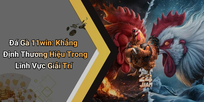 Đá Gà 11win: Khẳng Định Thương Hiệu Trong Lĩnh Vực Giải Trí