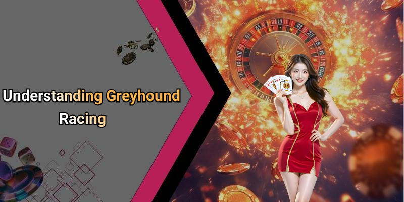 Understanding Greyhound Racing