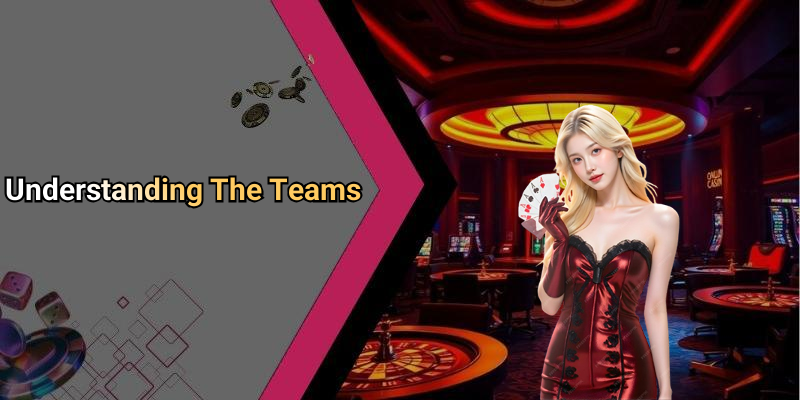 Understanding The Teams