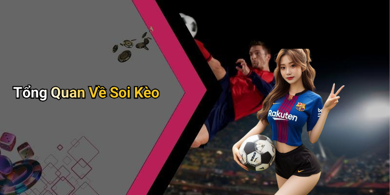 Tổng Quan Về Soi Kèo