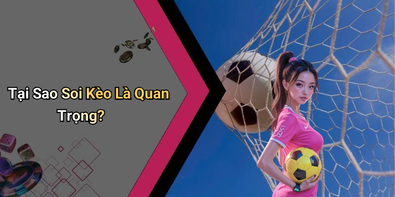 Tại Sao Soi Kèo Là Quan Trọng?