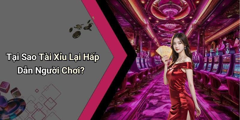Lý Do Tài Xỉu Trở Nên Phổ Biến