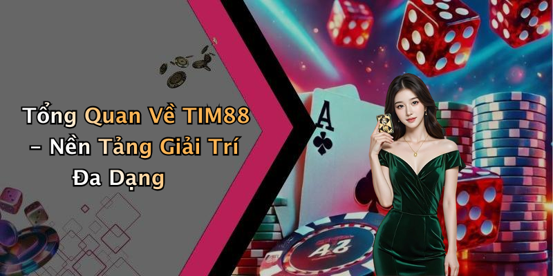 Tổng Quan Về TIM88 - Nền Tảng Giải Trí Đa Dạng