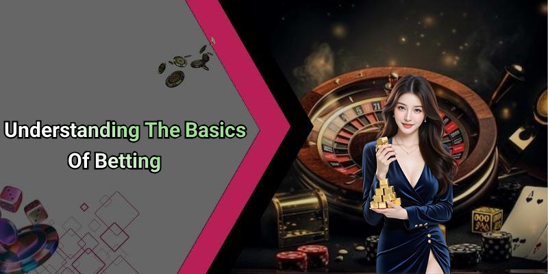 Understanding The Basics Of Betting