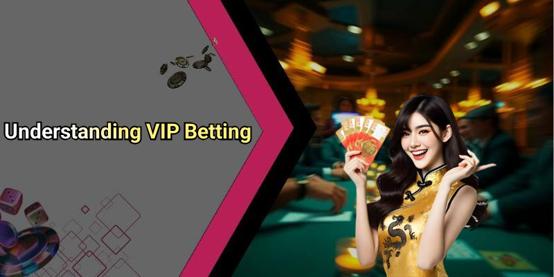 Understanding VIP Betting