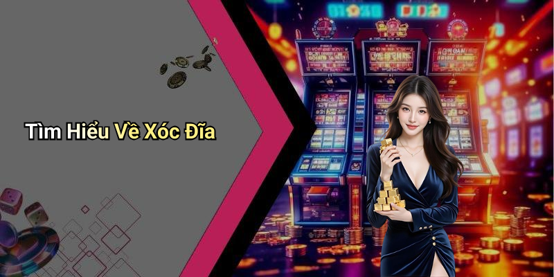 Tìm Hiểu Về Xóc Đĩa