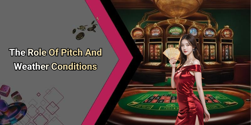 The Role Of Pitch And Weather Conditions