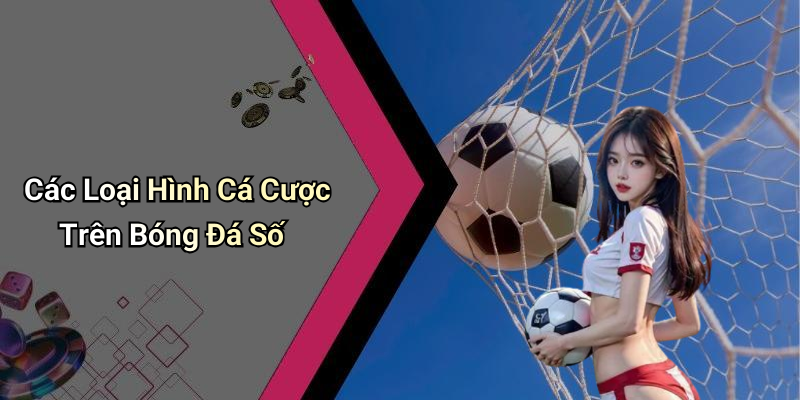 Các Loại Hình Cá Cược Trên Bóng Đá Số
