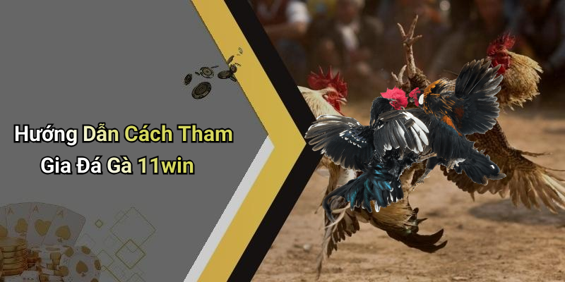 Hướng Dẫn Cách Tham Gia Đá Gà 11win