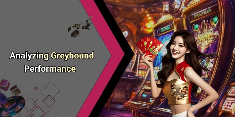 Analyzing Greyhound Performance