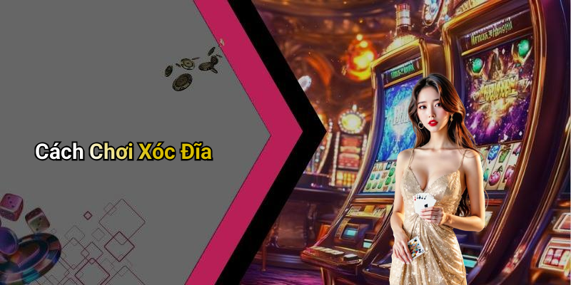 Cách Chơi Xóc Đĩa