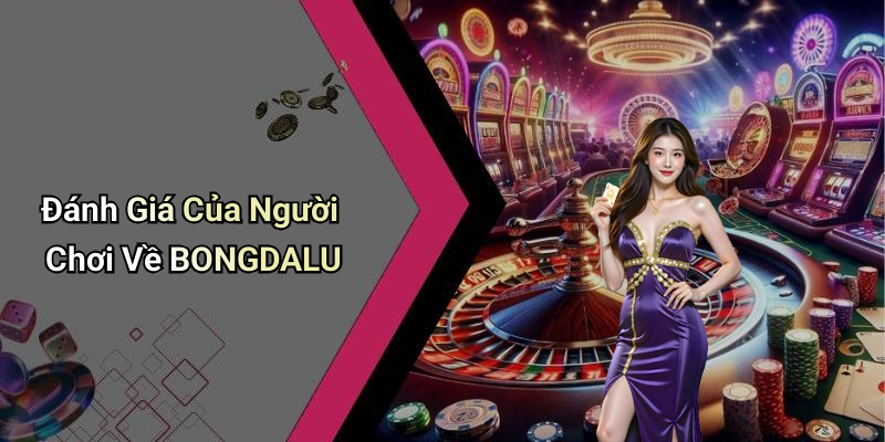 Đánh Giá Của Người Chơi Về BONGDALU
