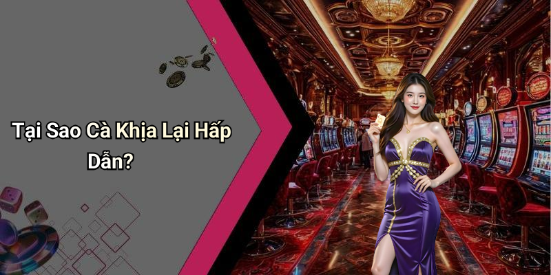 Tại Sao Cà Khịa Lại Hấp Dẫn?