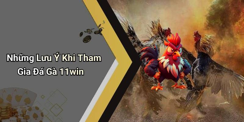Những Lưu Ý Khi Tham Gia Đá Gà 11win