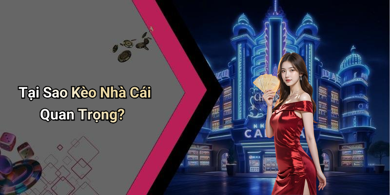 Tại Sao Kèo Nhà Cái Quan Trọng?