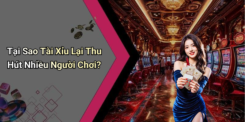 Tại Sao Tài Xỉu Lại Thu Hút Nhiều Người Chơi?